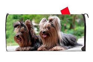 Two Yorkies Yorkshire Terrier Dog Vinyl Magnetic Mailbox Cover Made in the USA