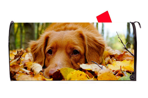 Dog in Leaves Vinyl Magnetic Mailbox Cover Excellent Quality Made in the USA