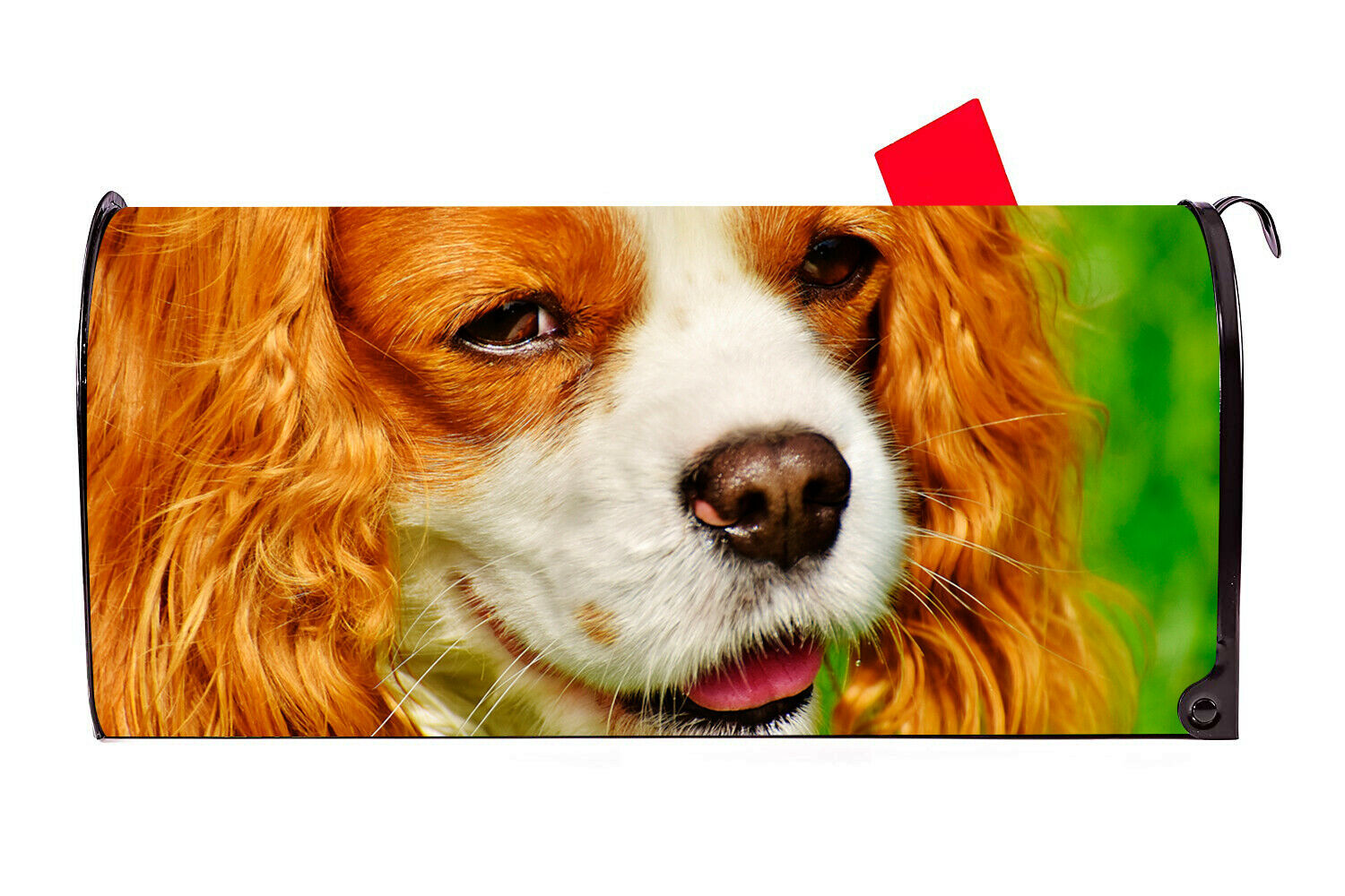 King Charles Spaniel Dog Closeup 2 Vinyl Magnetic Mailbox Cover Made in the USA