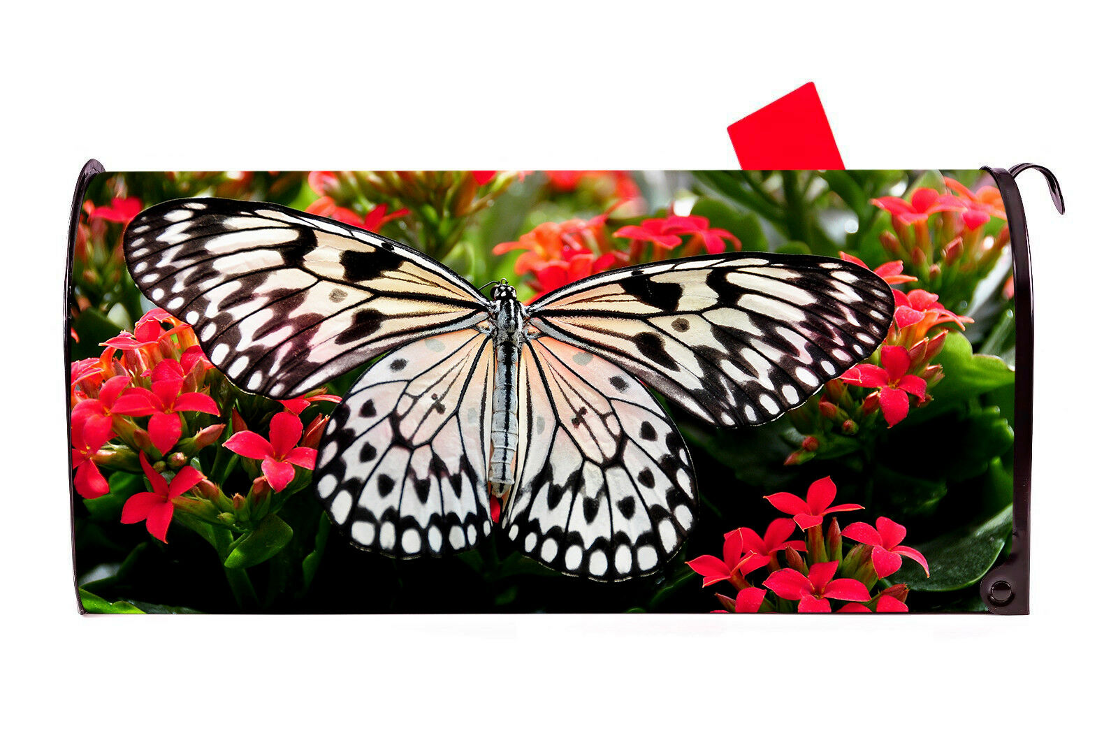 Butterfly 2 Vinyl Magnetic Mailbox Cover Made in the USA