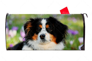 Bernese Mountain Puppy 1 Vinyl Magnetic Mailbox Cover Made in the USA