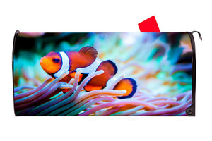 Clownfish 2 Vinyl Magnetic Mailbox Cover Excellent Quality Made in the USA