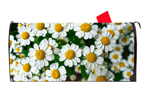 Chamomile Daisy Vinyl Magnetic Mailbox Cover Excellent Quality Made in the USA