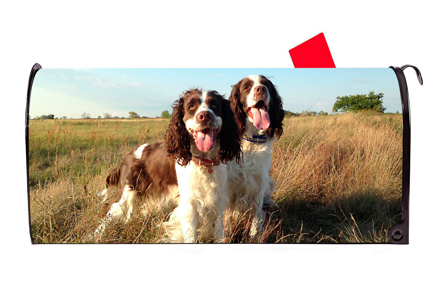 Springer Spaniel 2 Dog Vinyl Magnetic Mailbox Cover Made in the USA