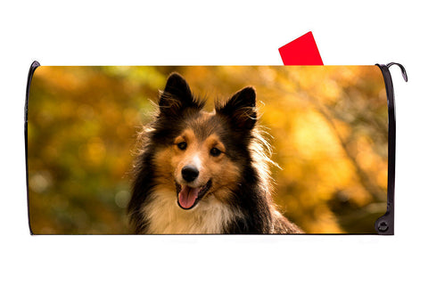 Shetland Sheepdog Sheltie Vinyl Magnetic Mailbox Cover Made in the USA