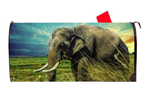 Elephant 2 Vinyl Magnetic Mailbox Cover Made in the USA