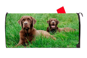 Brown Chocolate Lab Labrador Dog Vinyl Magnetic Mailbox Cover Made in the USA