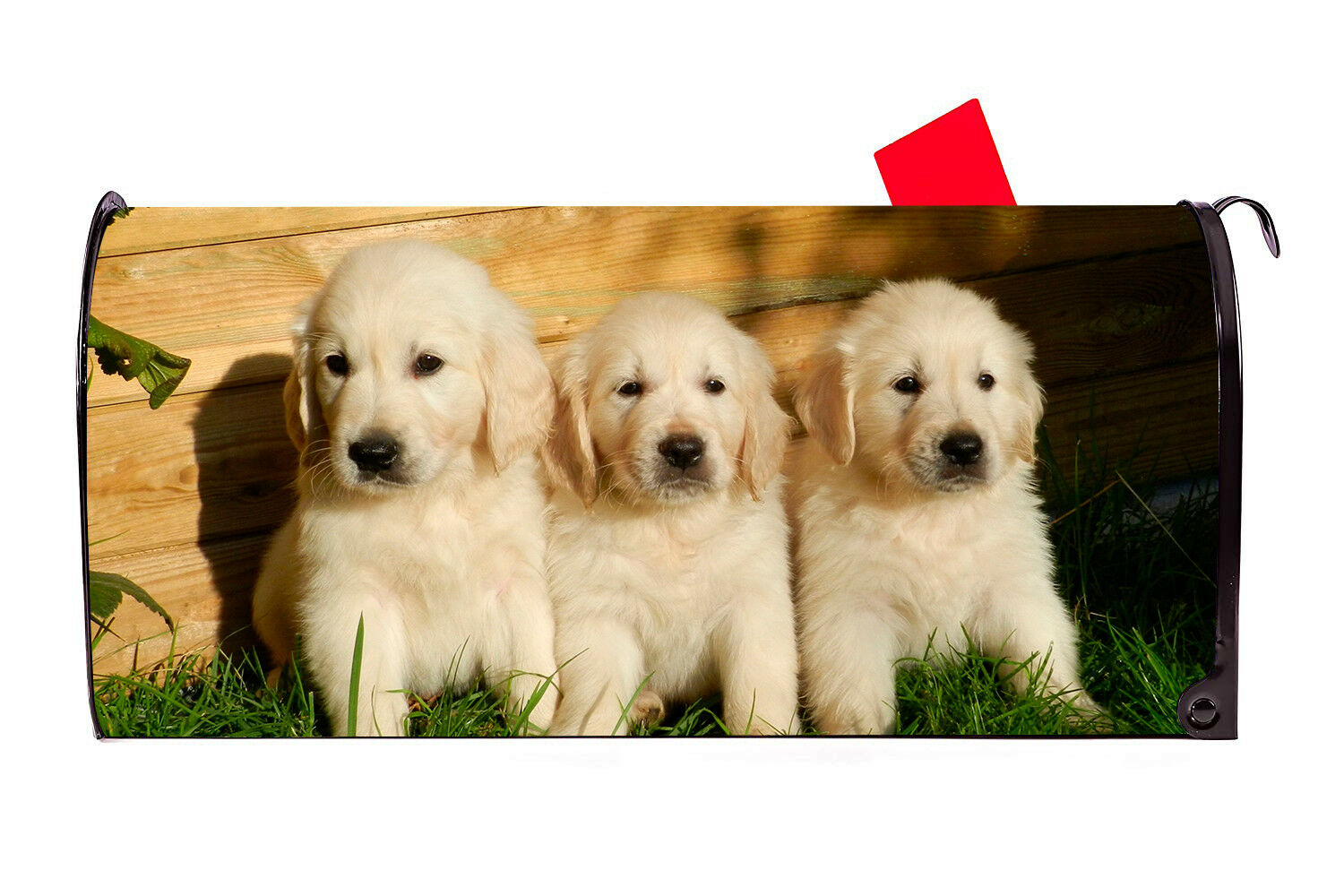 Golden Retriever Puppies Magnetic Mailbox Cover Excellent Quality Made inthe USA