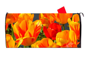 Tulips 3 Vinyl Magnetic Mailbox Cover Made in the USA