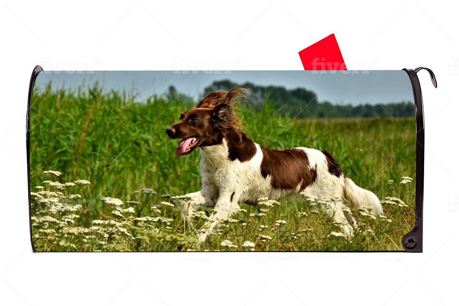 Springer Spaniel 1 Dog Vinyl Magnetic Mailbox Cover Made in the USA