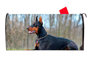 Doberman Dog 3 Vinyl Magnetic Mailbox Cover Made in the USA