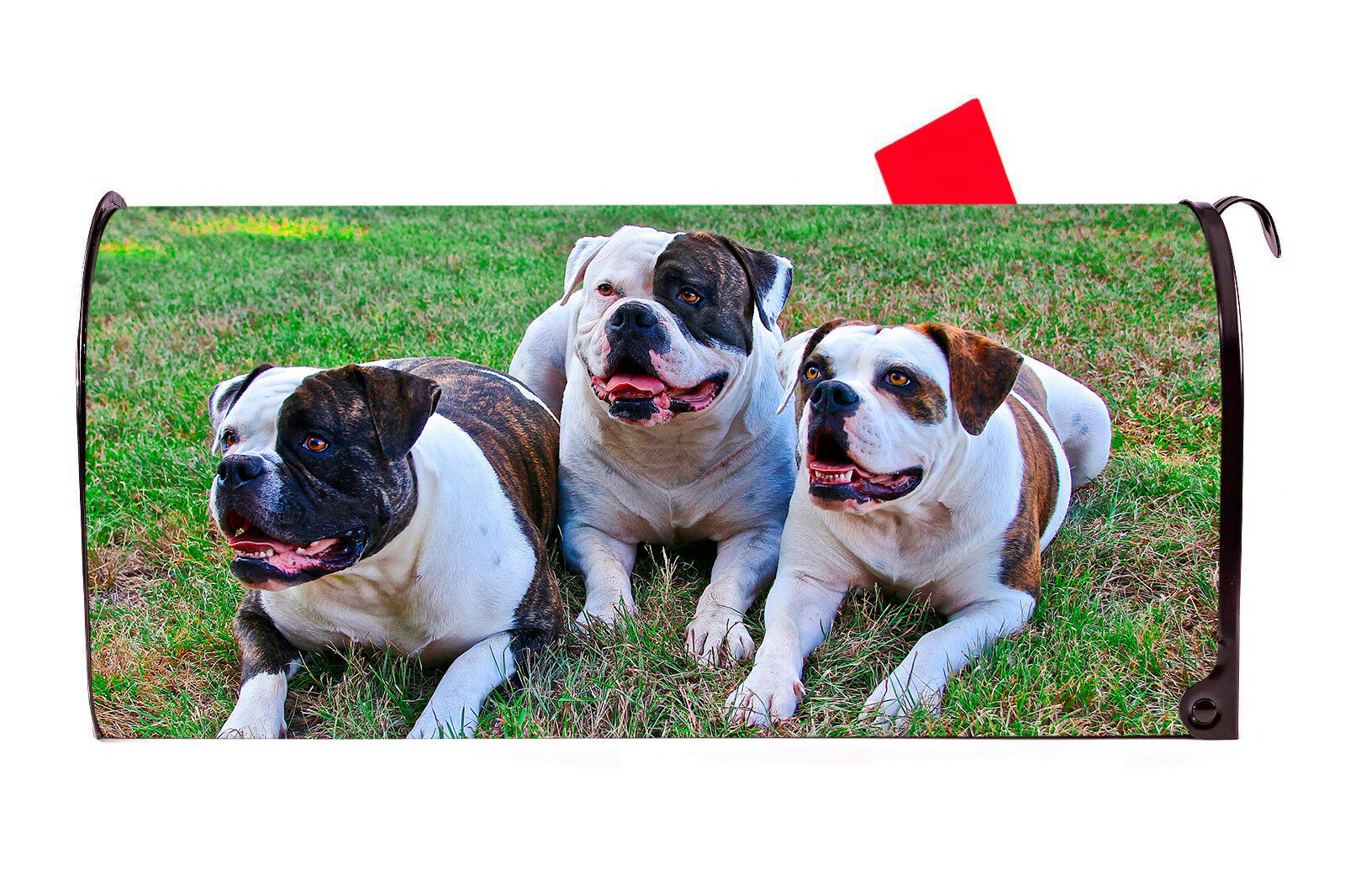 American Bulldogs Vinyl Magnetic Mailbox Cover Made in the USA