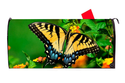 Tiger Swallowtail Butterfly Vinyl Magnetic Mailbox Cover Made in the USA