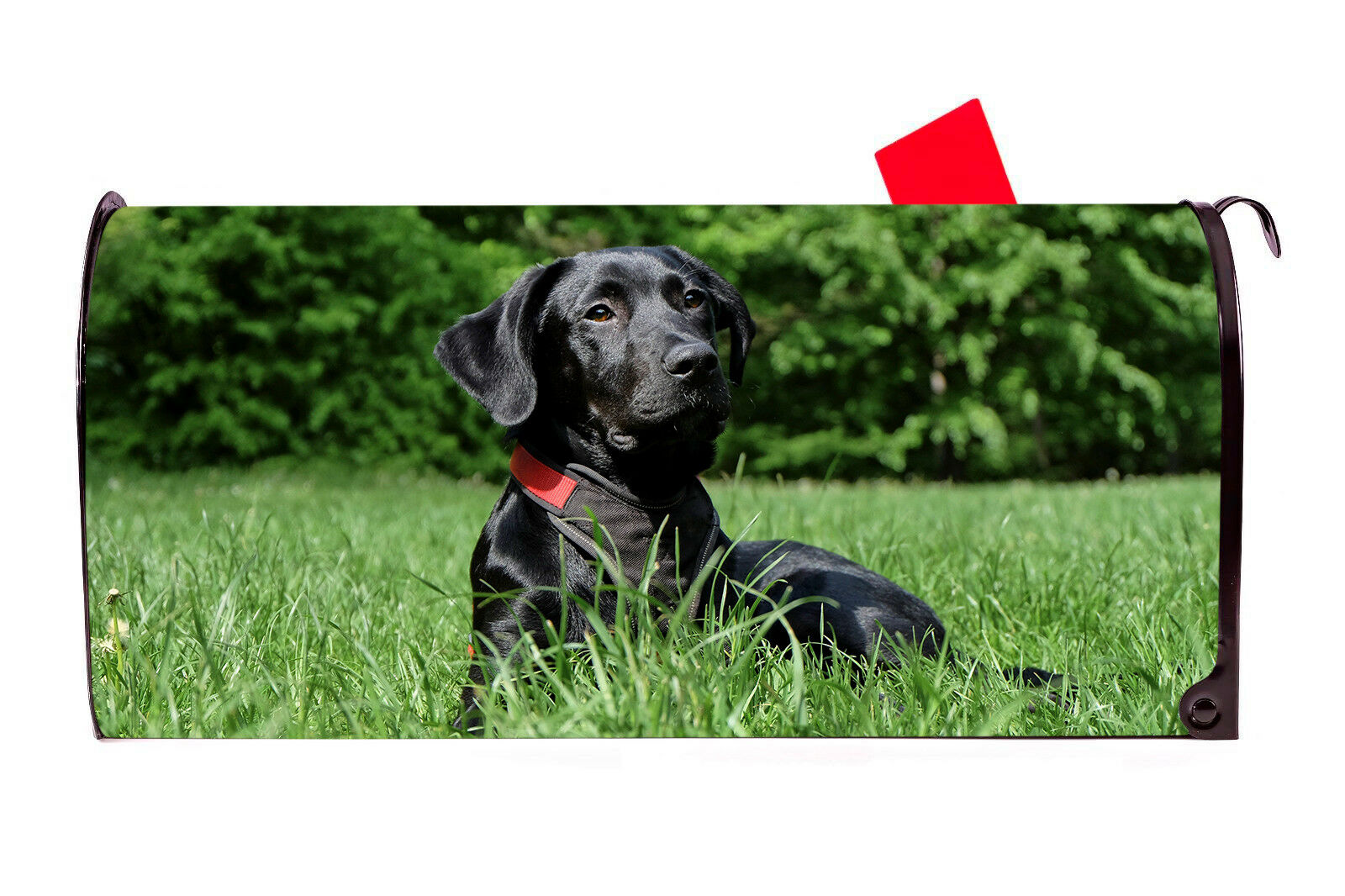 Black Lab Labrador Retriever Vinyl Magnetic Mailbox Cover Made in the USA