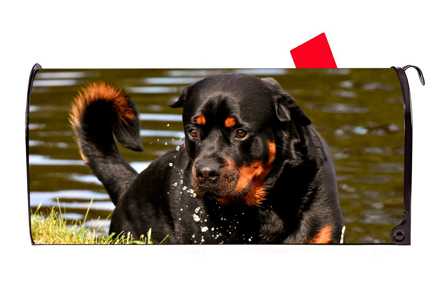 Rottweiler 2 Vinyl Magnetic Mailbox Cover Made in the USA