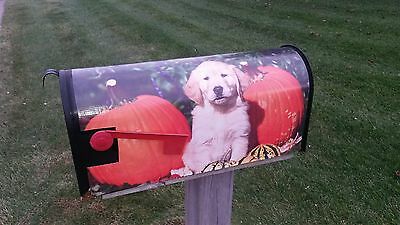 Golden Retriever Puppy & Pumpkins Magnetic Mailbox Cover dog mailbox cover