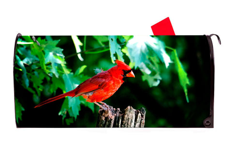 Bird Cardinal Vinyl Magnetic Mailbox Cover Made in the USA