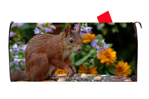 Squirrel Vinyl Magnetic Mailbox Cover Made in the USA