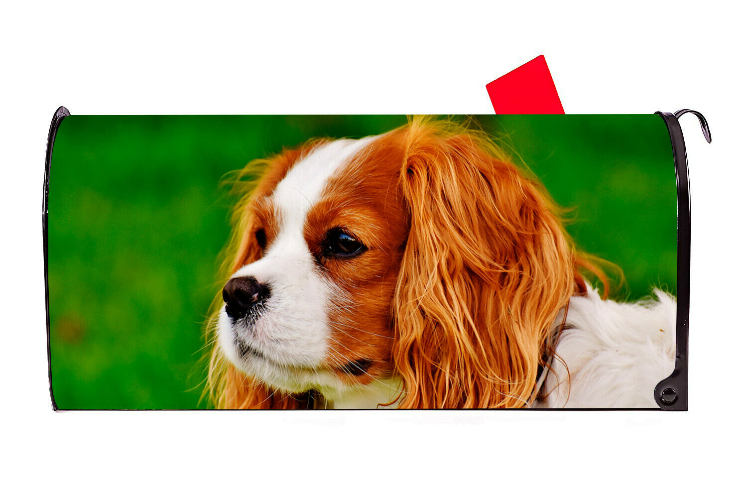 King Charles Spaniel Dog Closeup Vinyl Magnetic Mailbox Cover Made in the USA