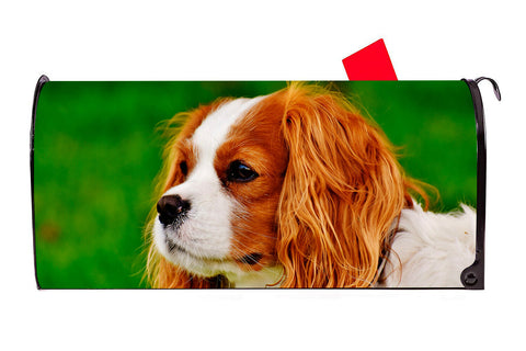 King Charles Spaniel Dog Vinyl Magnetic Mailbox Cover Made in the USA