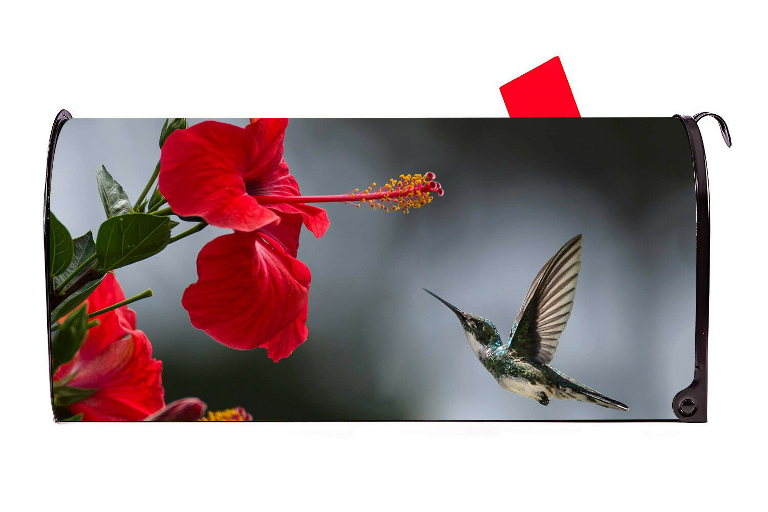 Hummingbird Vinyl Magnetic Mailbox Cover Made in the USA