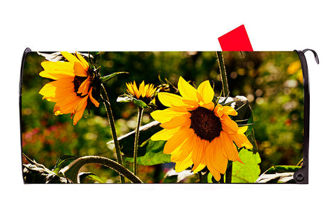 Sunflower 2 Vinyl Magnetic Mailbox Cover Made in the USA