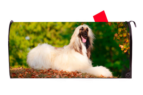 Afghan Dog Magnetic Mailbox Cover - Mailbox Covers for You