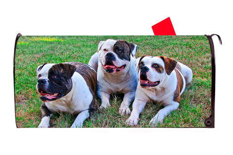 American Bulldog Mailbox Cover - Mailbox Covers for You