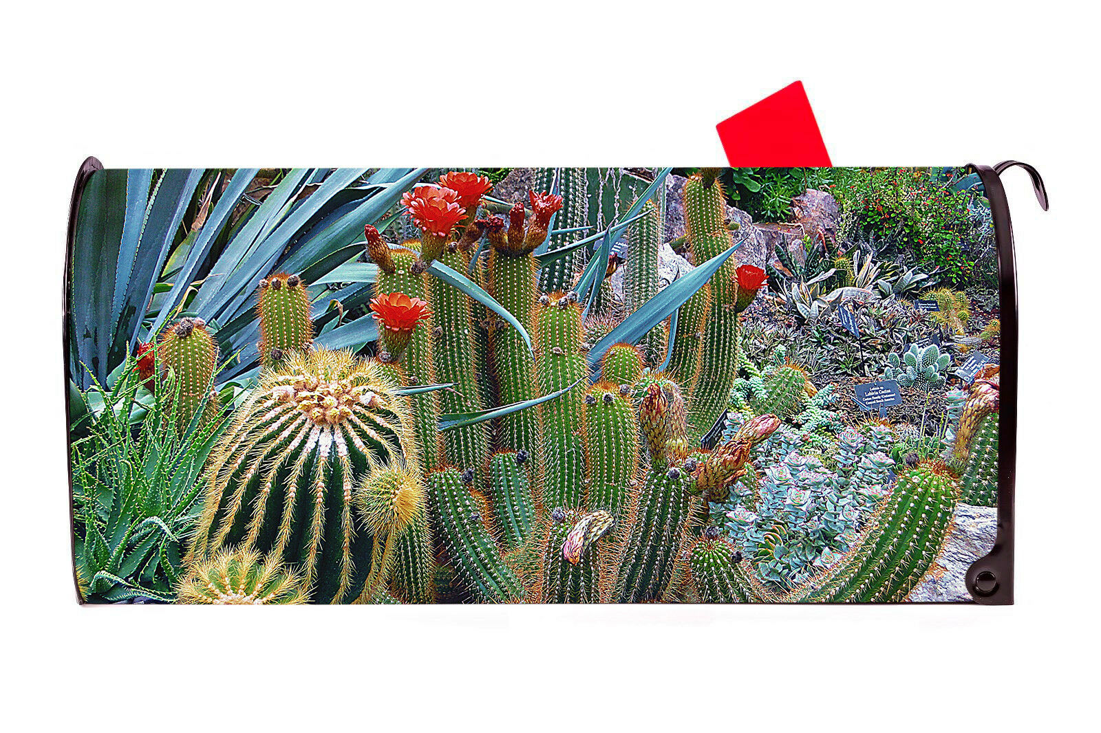 Arizona Cactus Vinyl Magnetic Mailbox Cover Made in the USA