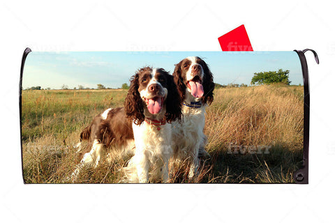 Springer Spaniel 2 Dog Vinyl Magnetic Mailbox Cover Made in the USA