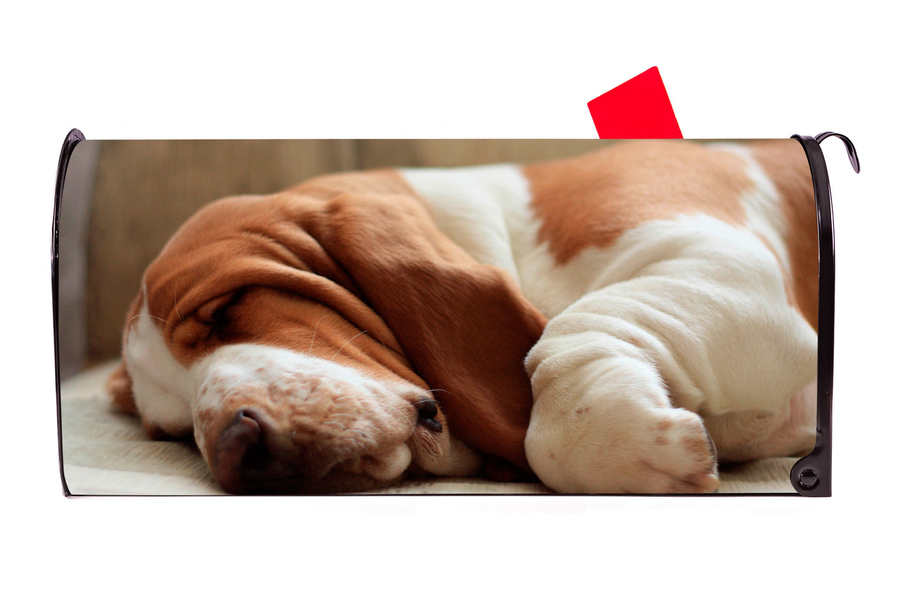 Basset Hound Dog Mailbox Cover Mailbox Covers for You