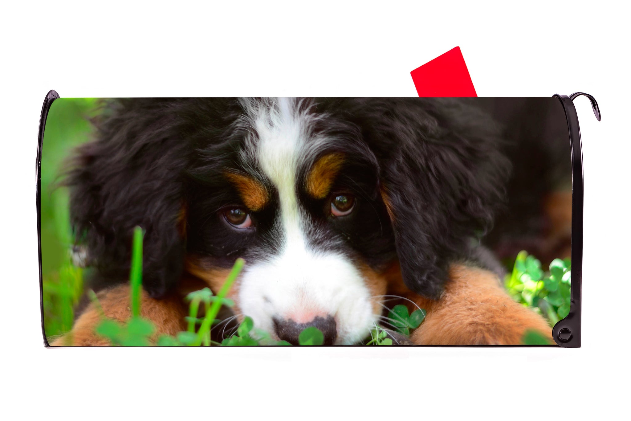 Bernese Mountain Puppy Dog Magnetic Mailbox Cover - Mailbox Covers for You