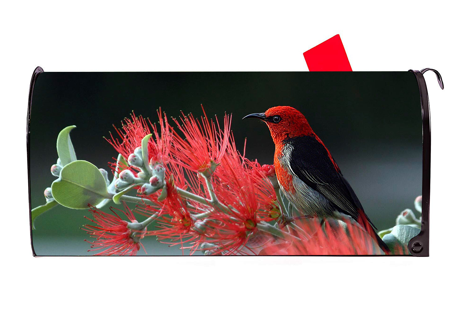 Bird 3 Magnetic Mailbox Cover - Mailbox Covers for You