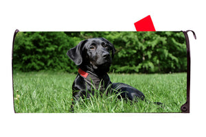 Black  Labrador Retriever Dog Magnetic Mailbox Cover - Mailbox Covers for You