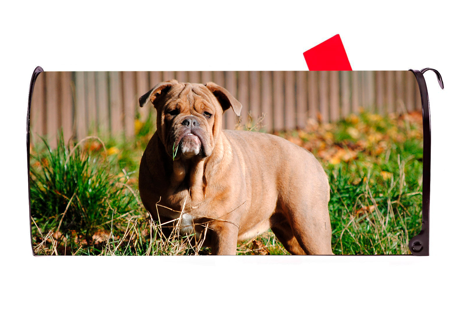 Bulldog Dog Magnetic Mailbox Cover - Mailbox Covers for You