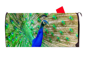 Peacock Vinyl Magnetic Mailbox Cover Made in the USA