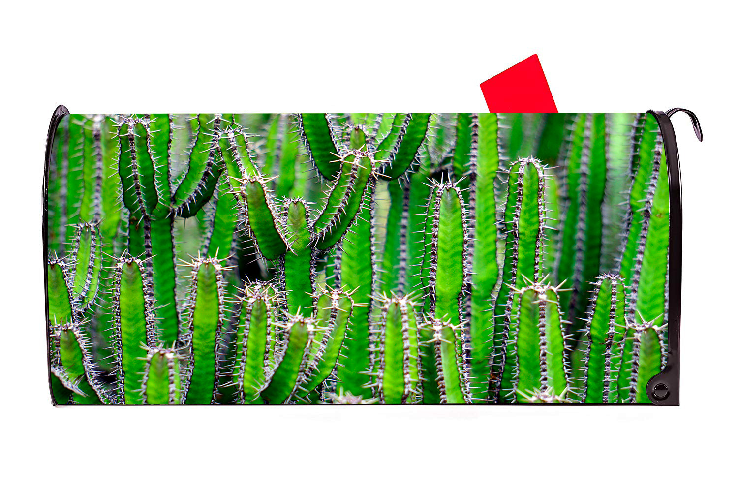 Cactus Magnetic Mailbox Cover - Mailbox Covers for You