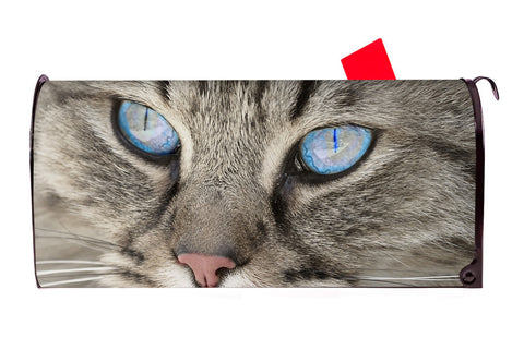 Cat 4 Magnetic Mailbox Cover - Mailbox Covers for You