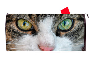 Cat 8 Magnetic Mailbox Cover - Mailbox Covers for You