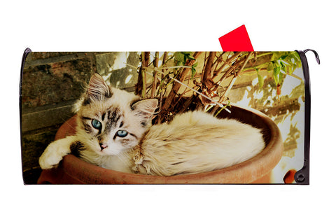 Cat in Pot Magnetic Mailbox Cover - Mailbox Covers for You