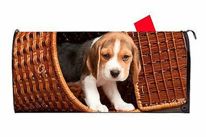 Beagle Puppy Dog in Basket Vinyl Magnetic Mailbox Cover Made in the USA