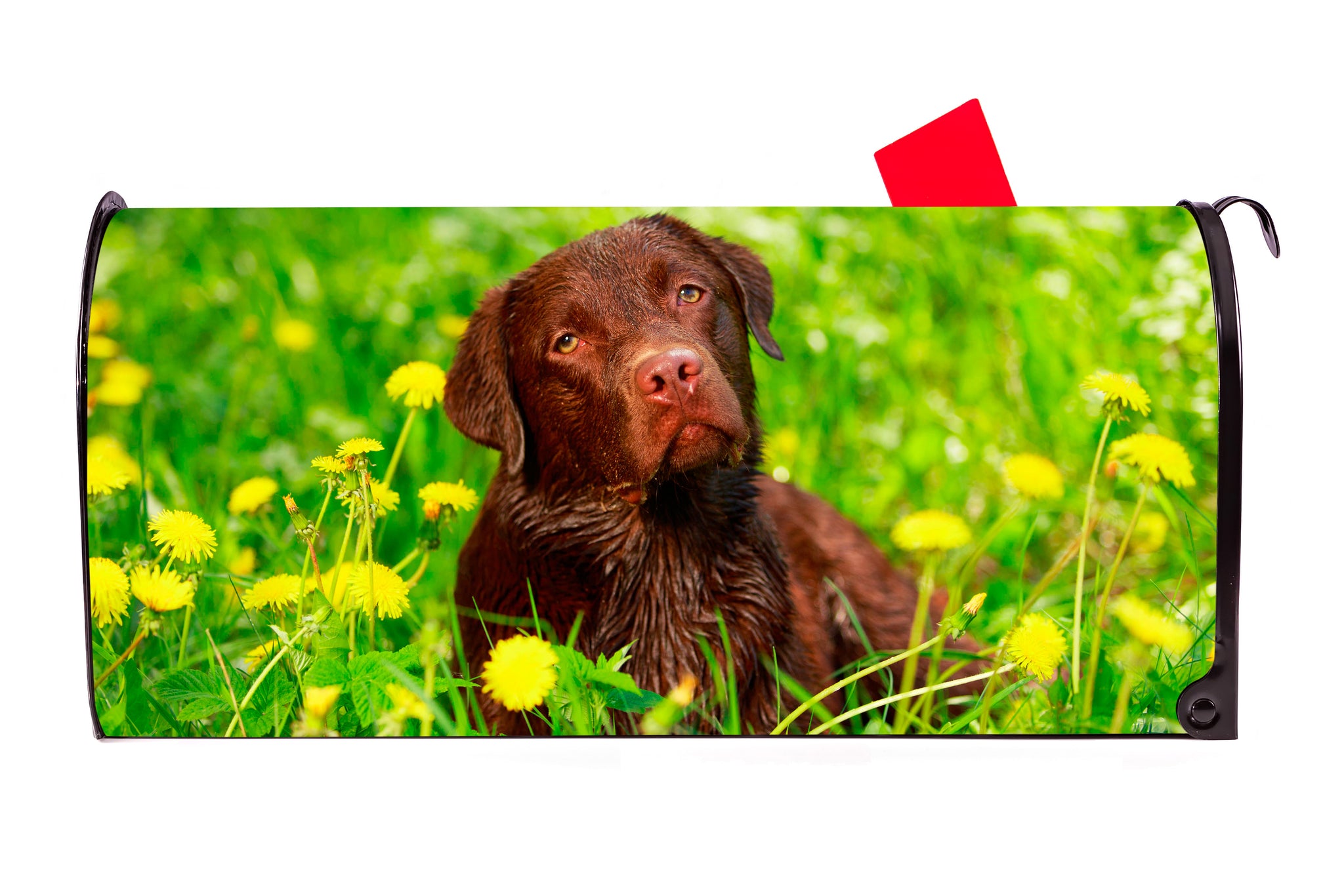 Chocolate Lab Labrador  Dog Magnetic Mailbox Cover - Mailbox Covers for You