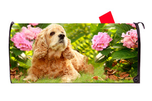 Tan Cocker Spaniel Dog Magnetic Mailbox Cover - Mailbox Covers for You