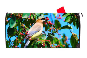 Bird and Berries Magnetic Mailbox Cover Made in the USA