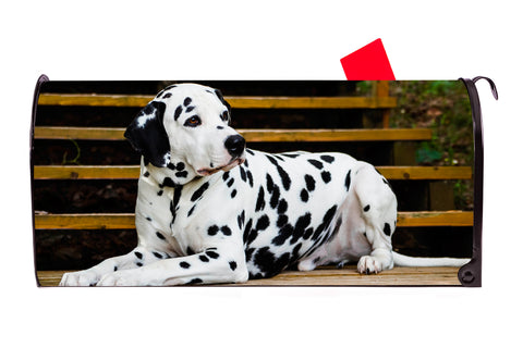 Dalmation Dog Magnetic Mailbox Cover - Mailbox Covers for You