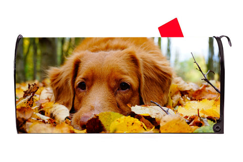 Dog in Leaves Magnetic Mailbox Cover - Mailbox Covers for You