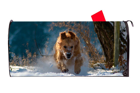 Dog in Snow Magnetic Mailbox Cover - Mailbox Covers for You