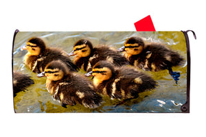 Ducklings Magnetic Mailbox Cover - Mailbox Covers for You