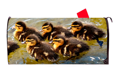Ducklings Magnetic Mailbox Cover - Mailbox Covers for You