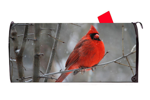 Cardinal Bird Vinyl Magnetic Mailbox Cover Made in the USA